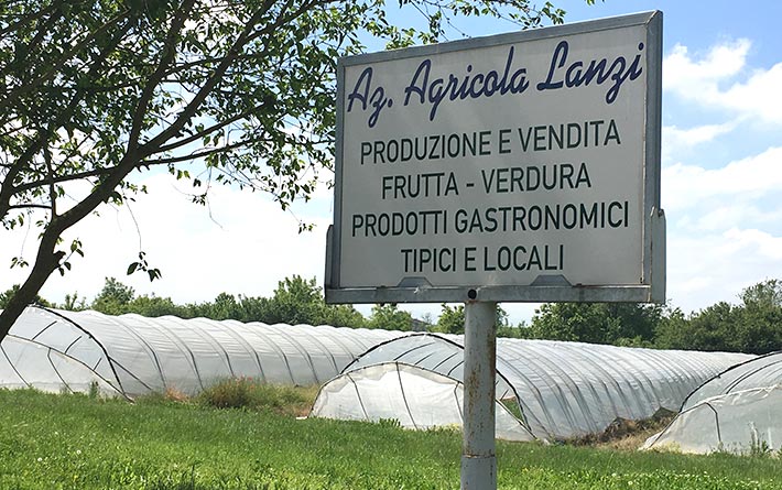 Azienda Agricola Lanzi Marco: cartello all’ingresso dell’azienda agricola con scritto produzione e vendita frutta e verdura e prodotti tipici locali